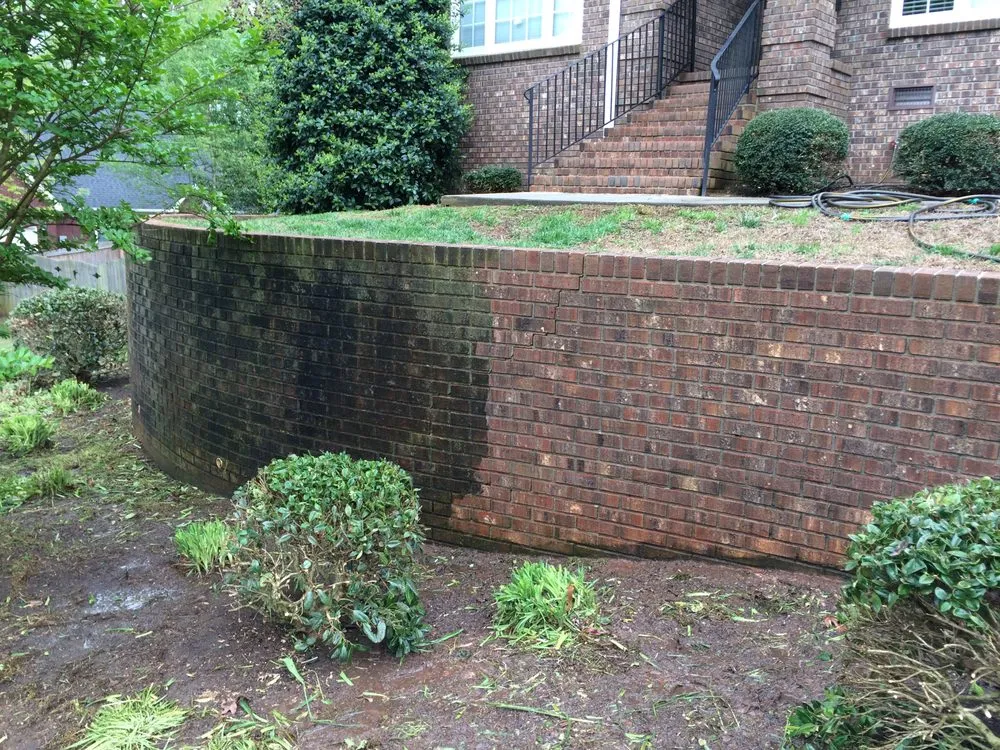 Top-rated yard maintenance in Starr, SC by Ducworth Lawn & Landscape