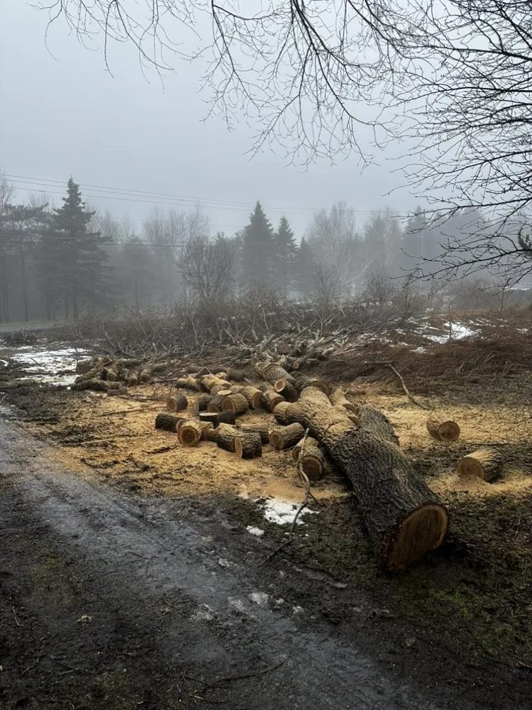 Affordable residential landscaping in Tully, NY - Dudley Property Services