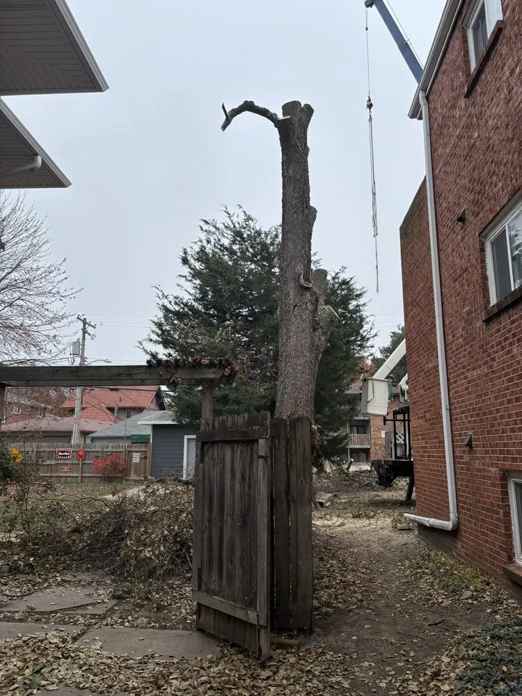 Expert landscape design for outdoor upgrades in Lincoln, NE by Dudley's Dew-Right Tree & Mulch