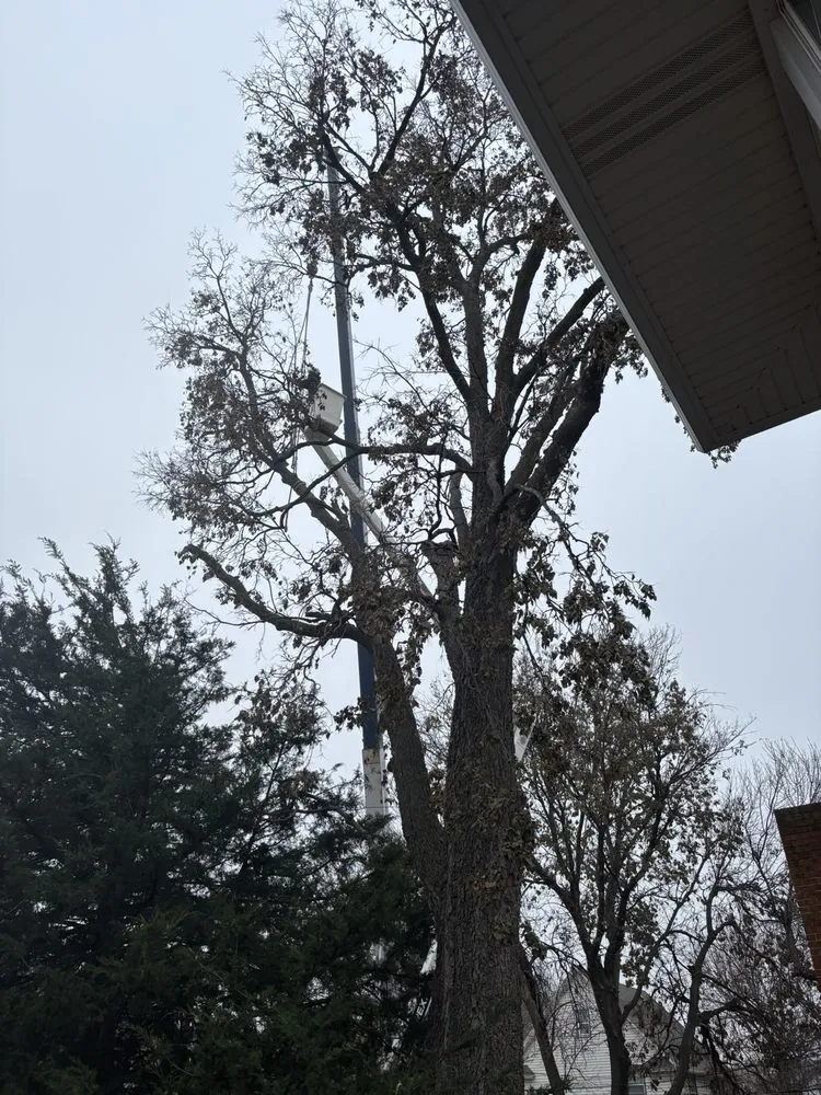 Professional garden landscaping in Lincoln, NE by Dudley's Dew-Right Tree & Mulch