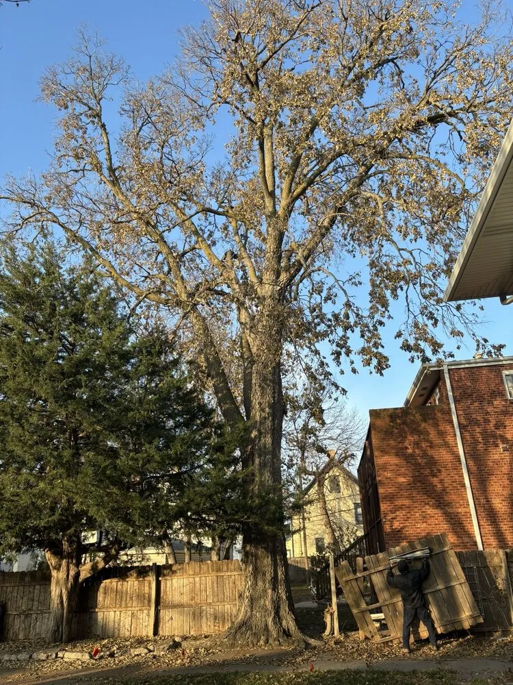 Affordable yard maintenance experts serving Lincoln, NE - Dudley's Dew-Right Tree & Mulch