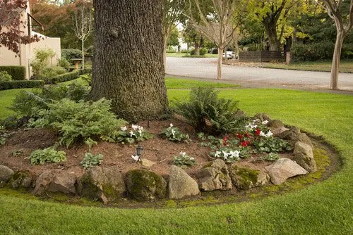 Local lawn mowing service for beautiful yards across Marbury, MD - Dudleys earthworks