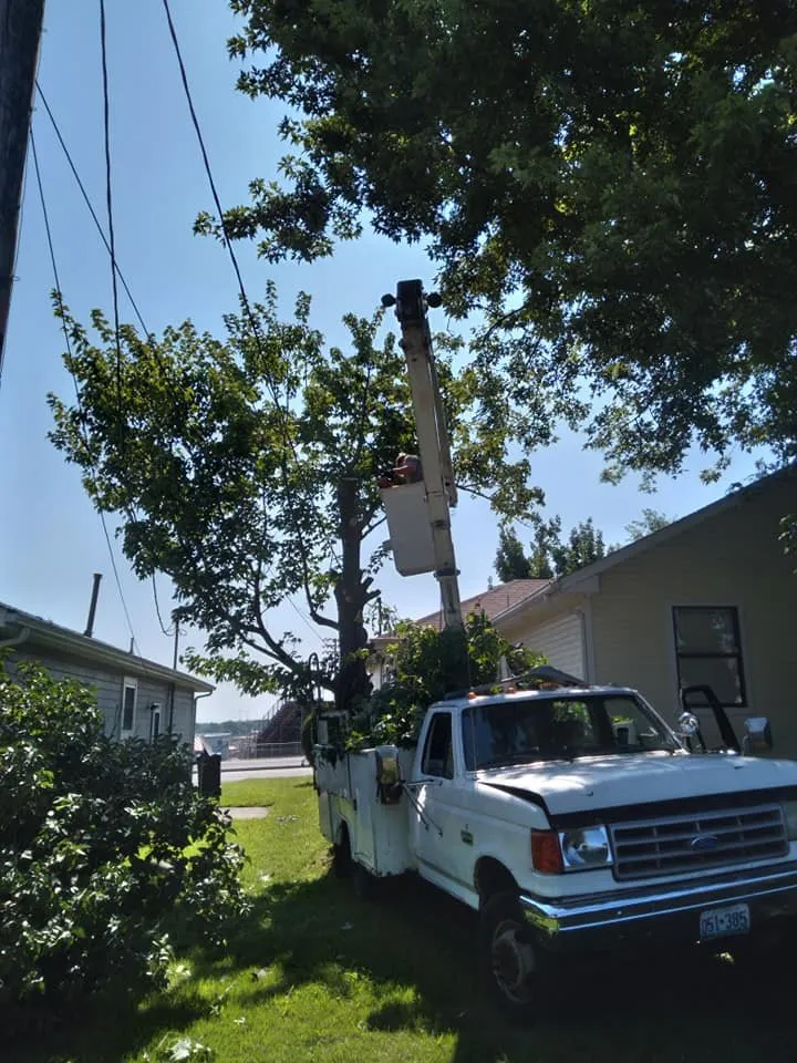 Expert garden landscaping in Carterville, MO by Dudley's Tree & Stump Service