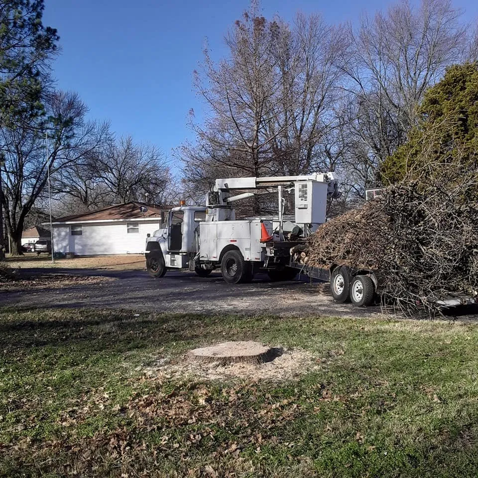 Top-rated lawn care service for homes in Carterville, MO by Dudley's Tree & Stump Service