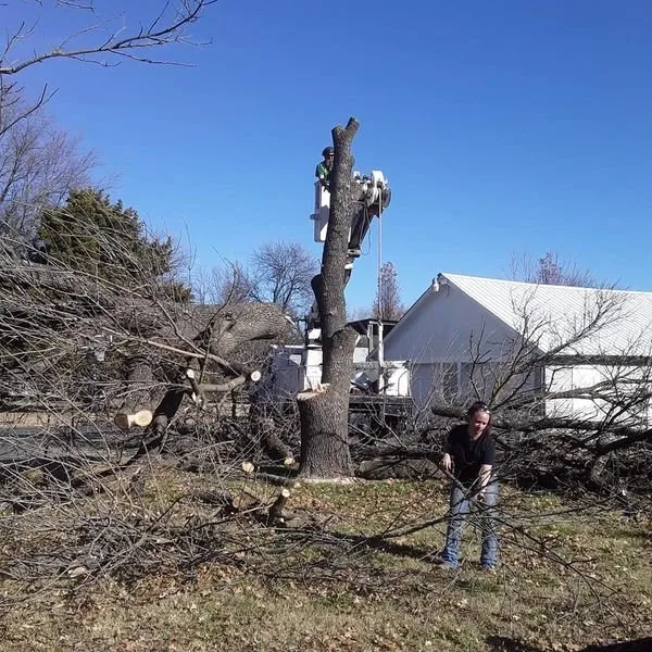 Reliable garden landscaping near you across Carterville, MO - Dudley's Tree & Stump Service