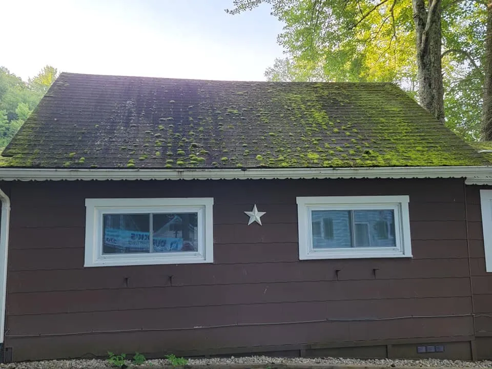 Professional yard cleanup service for year-round maintenance in Tunkhannock, PA by Dudock's Property Solutions