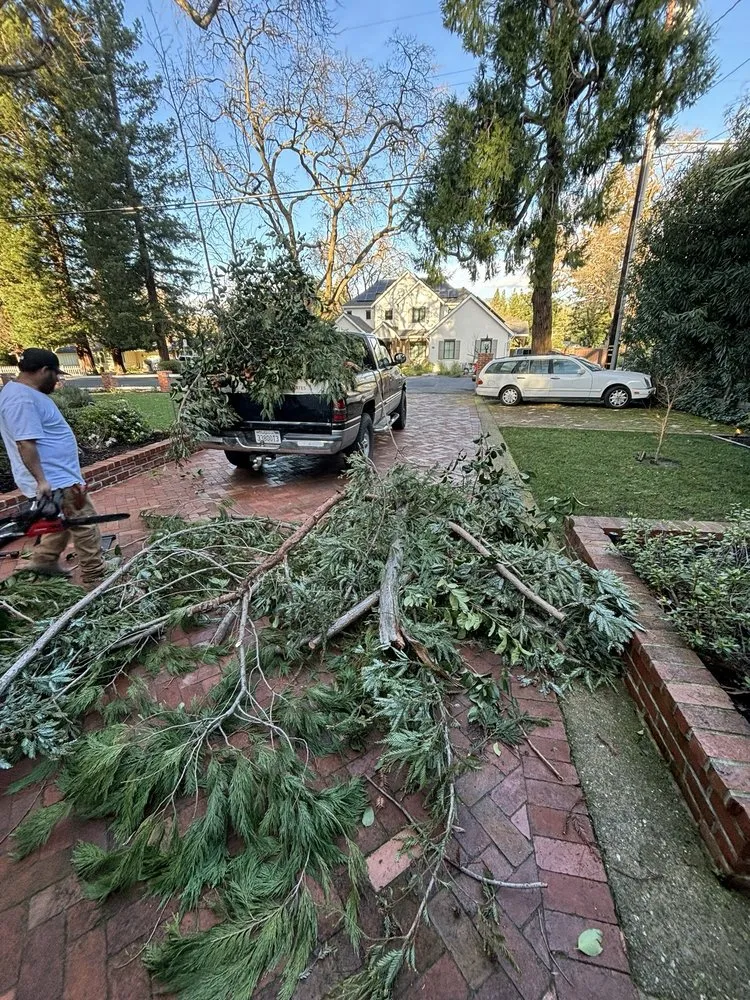 Trusted residential landscaping with custom design across Bay Point, CA - Duenas And Sons Landscape and Maintenance