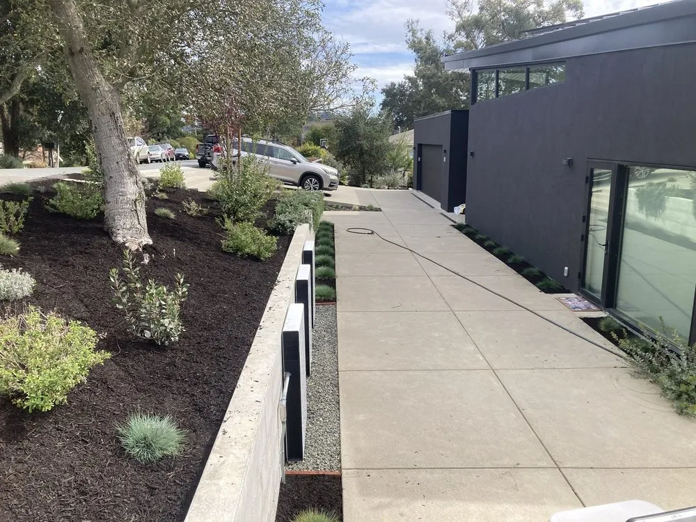 Professional landscaping services in Bay Point, CA by Duenas And Sons Landscape and Maintenance