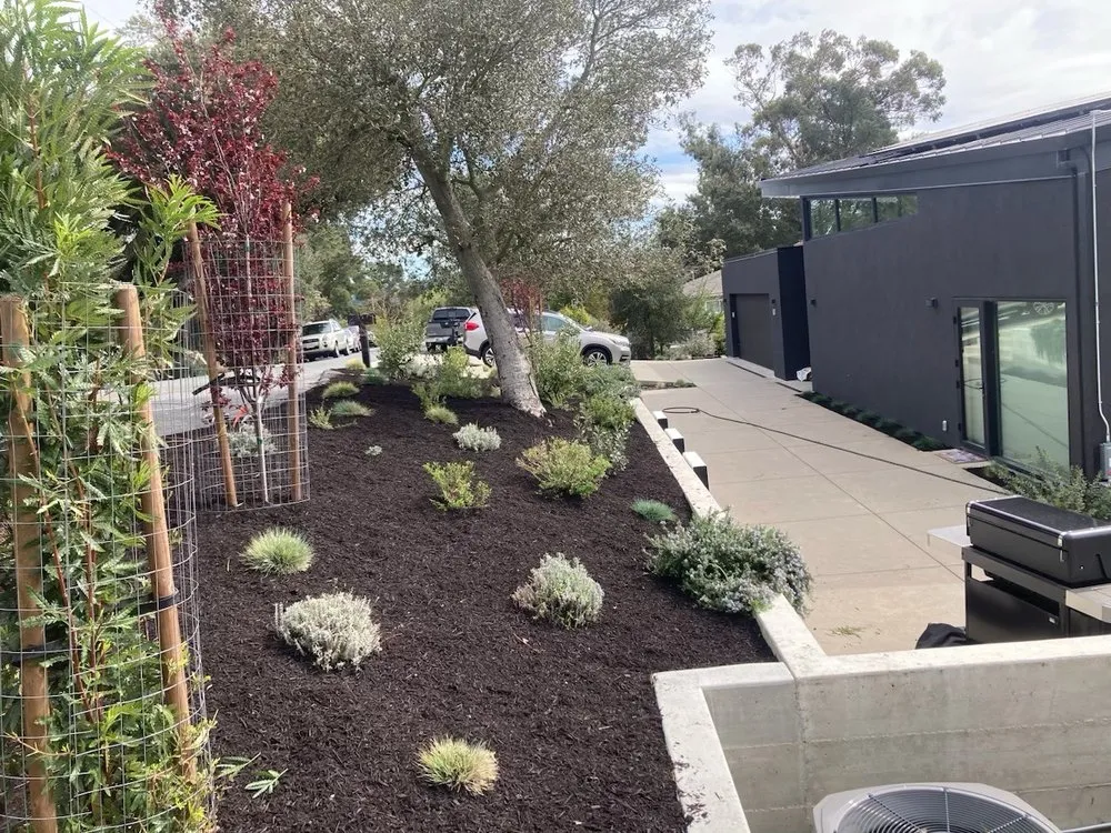 Reliable residential landscaping in Bay Point, CA - Duenas And Sons Landscape and Maintenance
