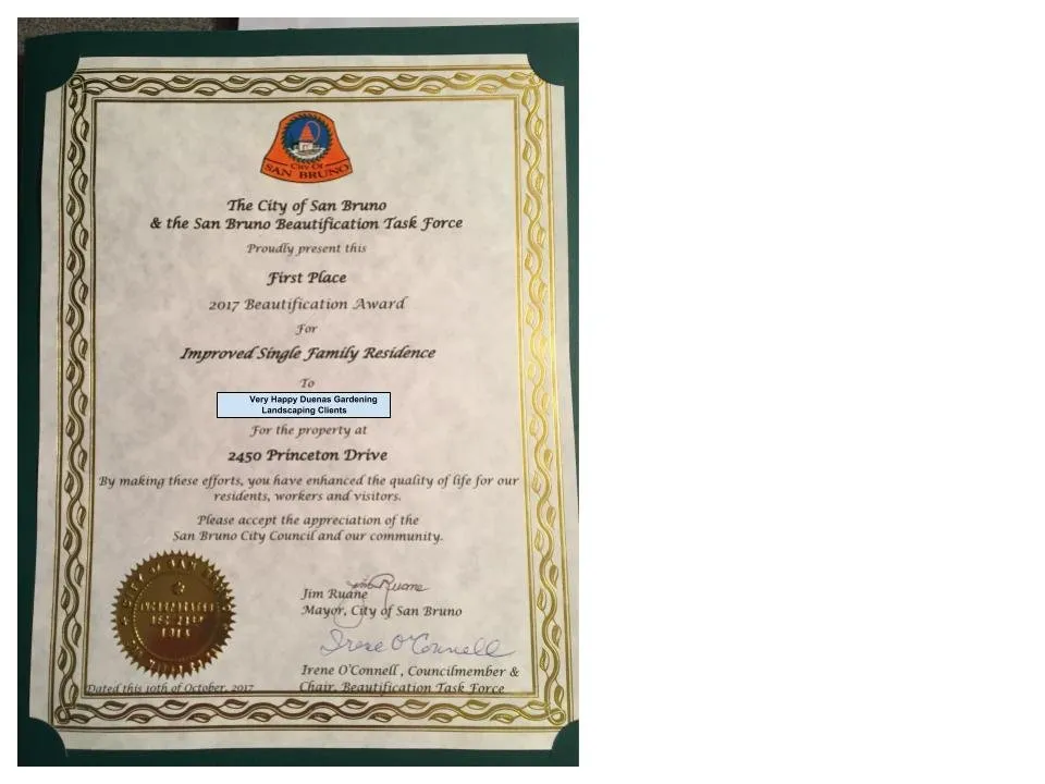 Custom yard cleanup service for outdoor upgrades across Redwood City, CA - Duenas Gardening Landscaping