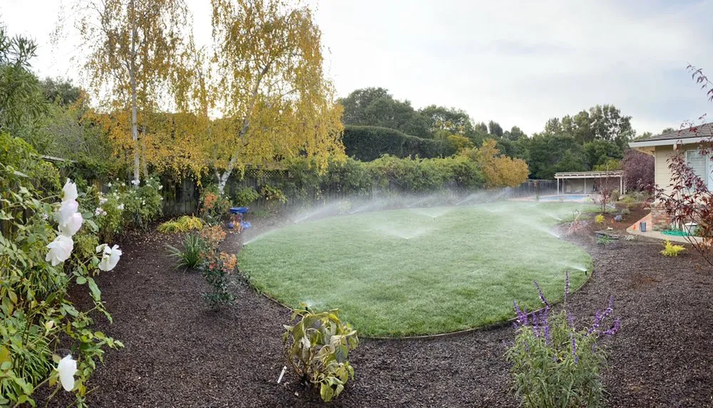 Custom yard cleanup service for beautiful yards across Redwood City, CA - Duenas Gardening Landscaping