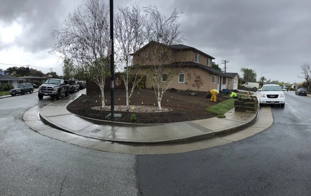 Top-rated outdoor landscaping for homes in Redwood City, CA by Duenas Gardening Landscaping