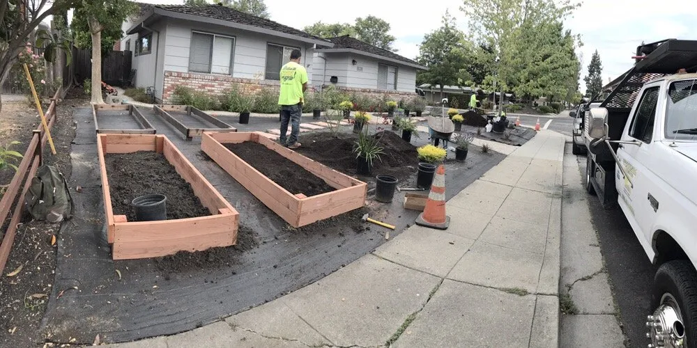 Expert yard cleanup service in Redwood City, CA - Duenas Gardening Landscaping