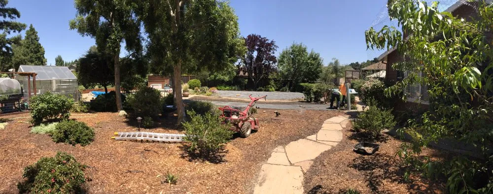 Affordable yard maintenance near you across Redwood City, CA - Duenas Gardening Landscaping