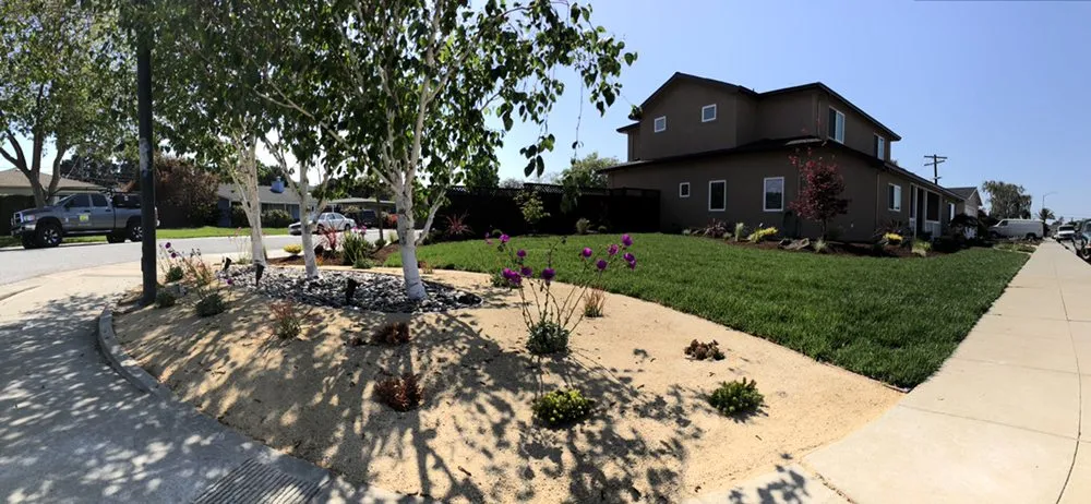 Professional garden landscaping near you across Redwood City, CA - Duenas Gardening Landscaping