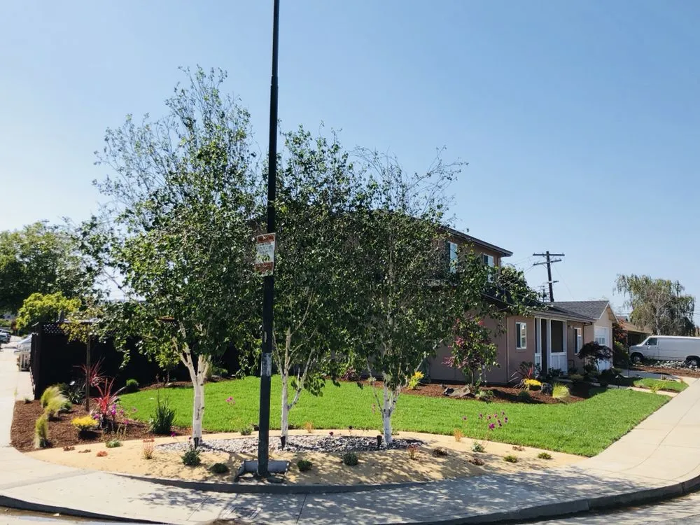 Trusted residential landscaping in Redwood City, CA - Duenas Gardening Landscaping