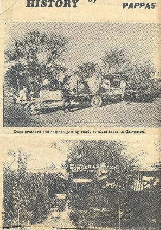 Custom outdoor landscaping in Dickinson, TX by Dues Landscaping