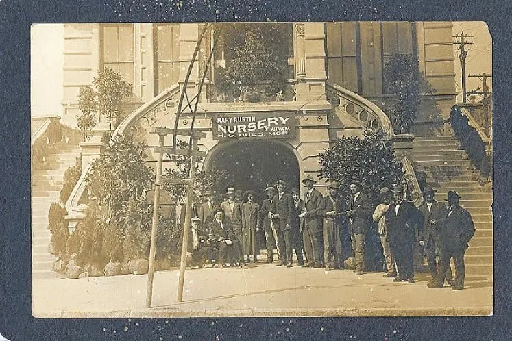 Local garden landscaping experts serving Dickinson, TX - Dues Landscaping