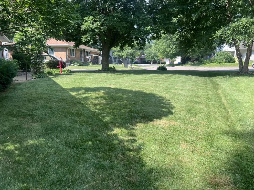 Expert yard cleanup service experts serving Davenport, IA - Duex’s Mowing & Snow