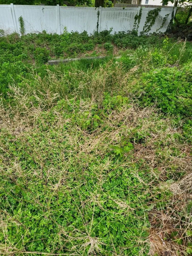 Local yard maintenance in Abington Township, PA - Duff & Torres Lawn Care