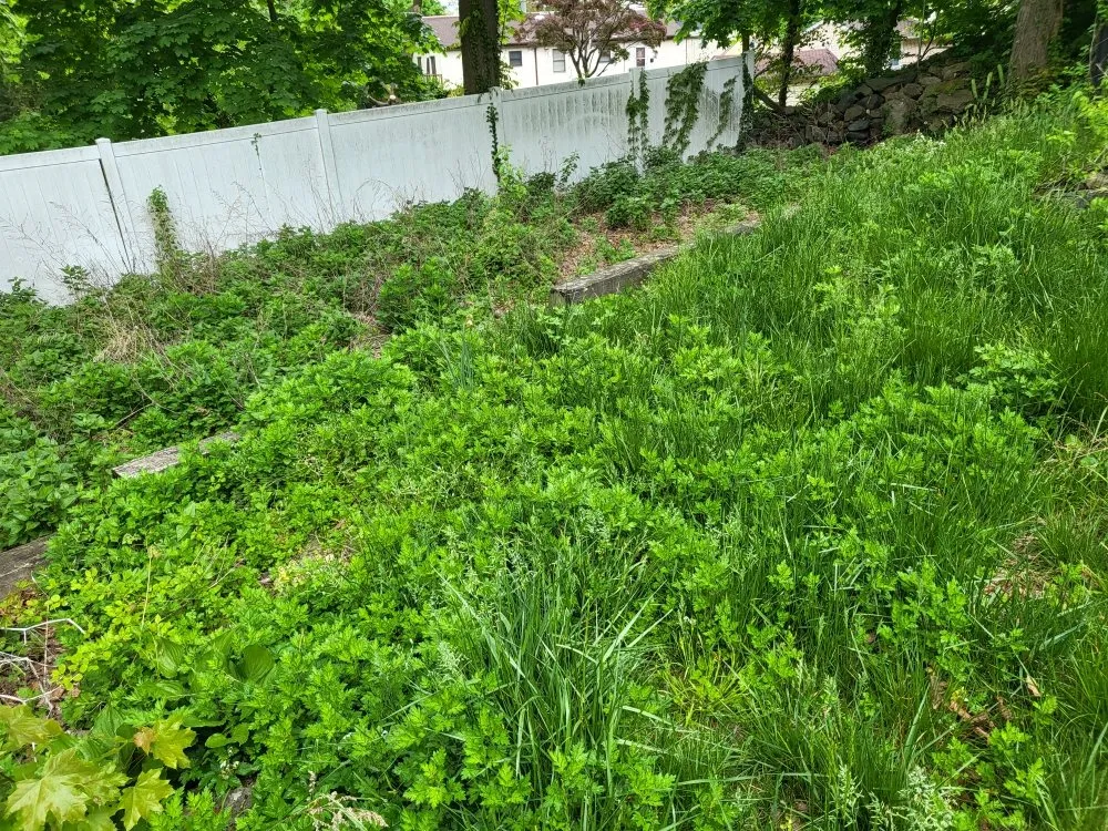 Professional landscape design in Abington Township, PA - Duff & Torres Lawn Care