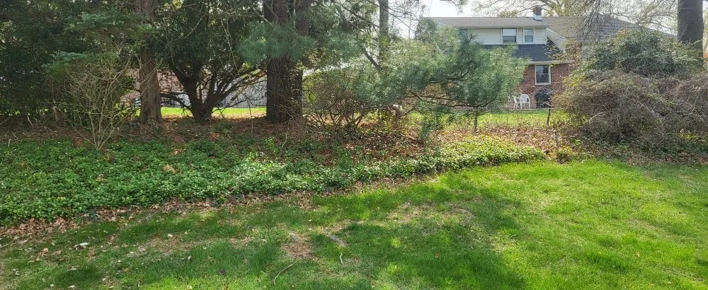 Custom lawn mowing service experts serving Abington Township, PA - Duff & Torres Lawn Care