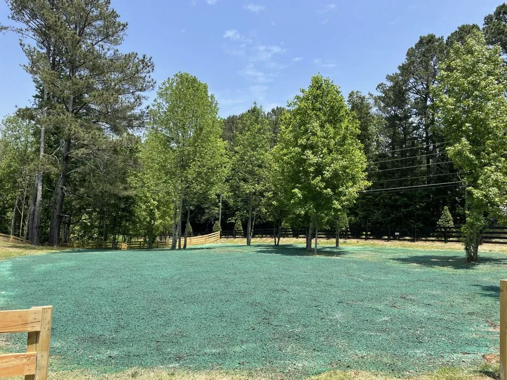 Custom yard cleanup service for outdoor upgrades across Dahlonega, GA - Duffey Landscaping