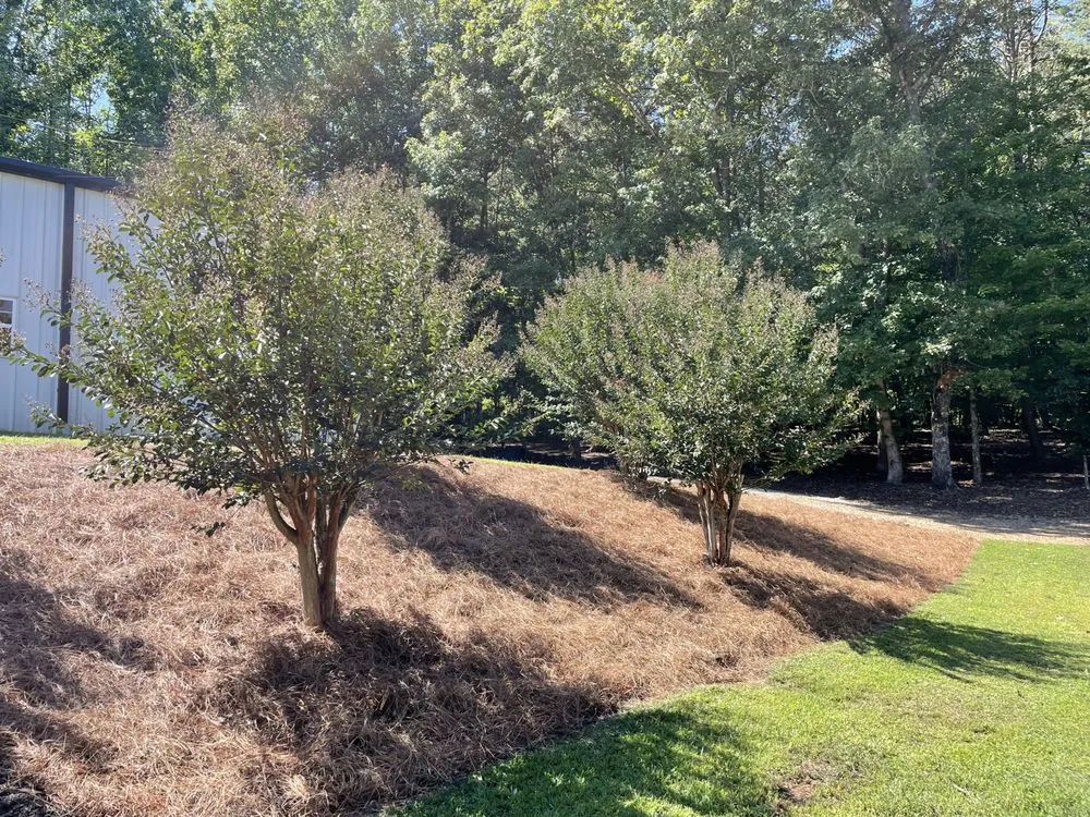 Trusted landscaping services in Dahlonega, GA by Duffey Landscaping