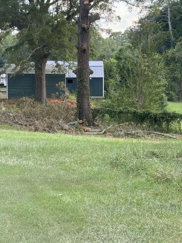 Expert residential landscaping in Augusta, GA - Duffey’s Tree & Landscape management