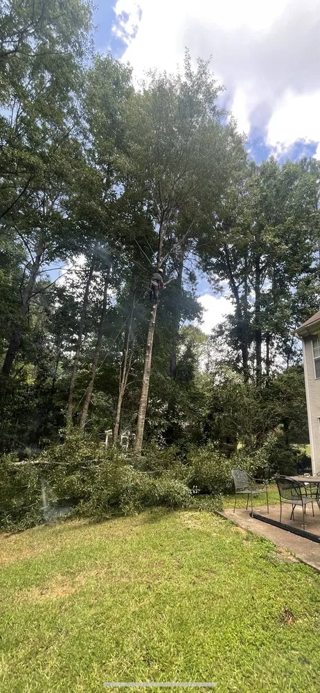 Custom garden landscaping for year-round maintenance across Augusta, GA - Duffey’s Tree & Landscape management