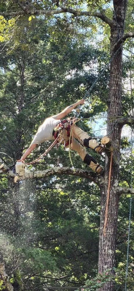 Professional residential landscaping in Augusta, GA - Duffey’s Tree & Landscape management