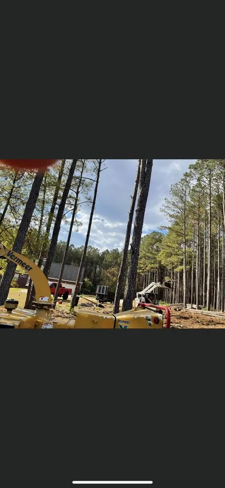 Top-rated landscaping services with custom design in Augusta, GA by Duffey’s Tree & Landscape management