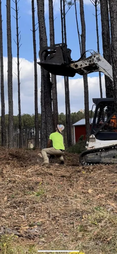 Trusted landscaping services with custom design in Augusta, GA by Duffey’s Tree & Landscape management