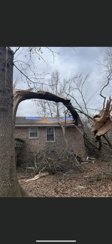 Custom yard maintenance for beautiful yards in Augusta, GA by Duffey’s Tree & Landscape management