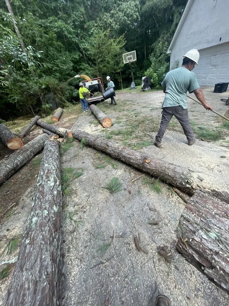 Custom landscaping services with custom design in Augusta, GA by Duffey’s Tree & Landscape management