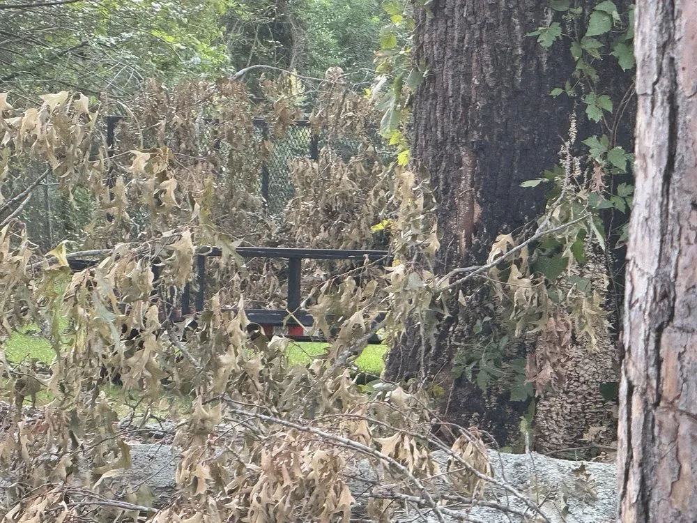 Custom yard cleanup service in Augusta, GA by Duffey’s Tree & Landscape management