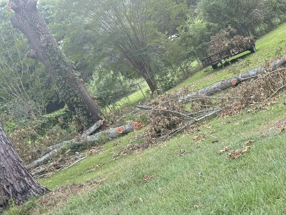 Custom lawn care service for outdoor upgrades in Augusta, GA by Duffey’s Tree & Landscape management