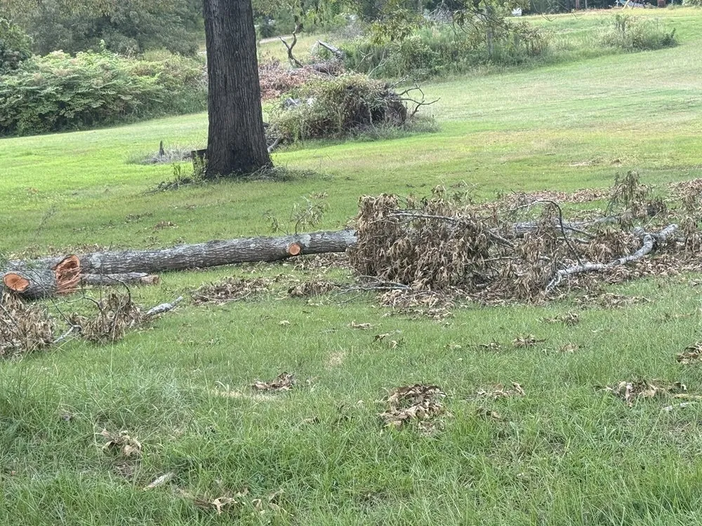 Reliable yard maintenance in Augusta, GA by Duffey’s Tree & Landscape management
