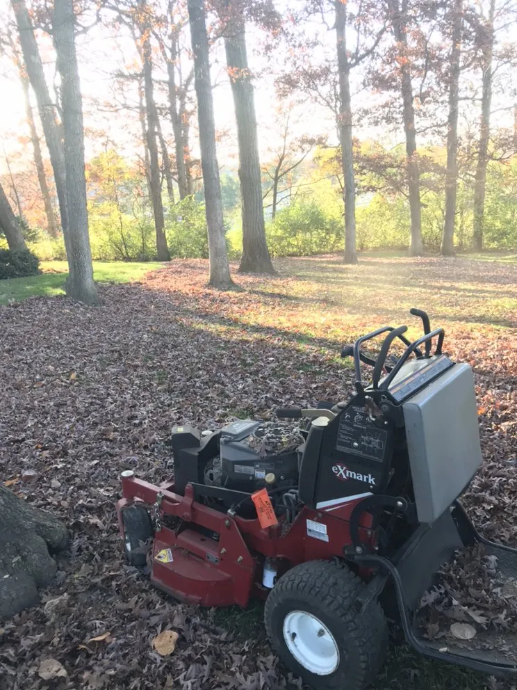 Trusted yard cleanup service experts serving Clarendon Hills, IL - Dufour Services