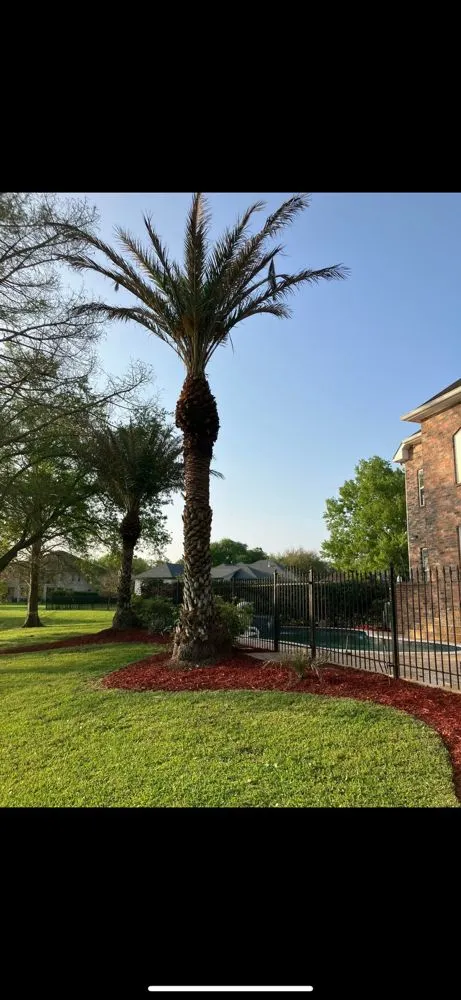 Local yard cleanup service near you in Ponchatoula, LA by Dufrene Property Solutions