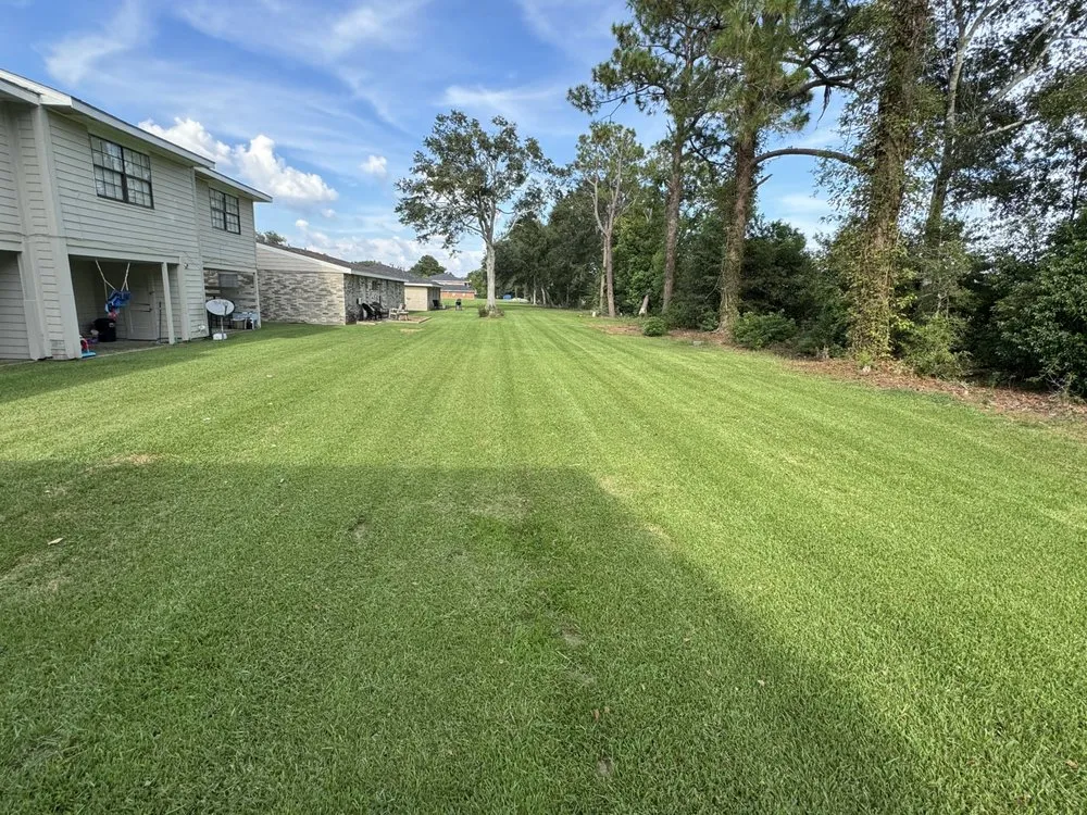Reliable yard cleanup service in Jennings, LA - Duhon Lawn Care