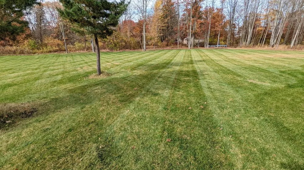Affordable yard cleanup service experts serving Cuyahoga Falls, OH - Duhon's Fresh Cut Mowing Services