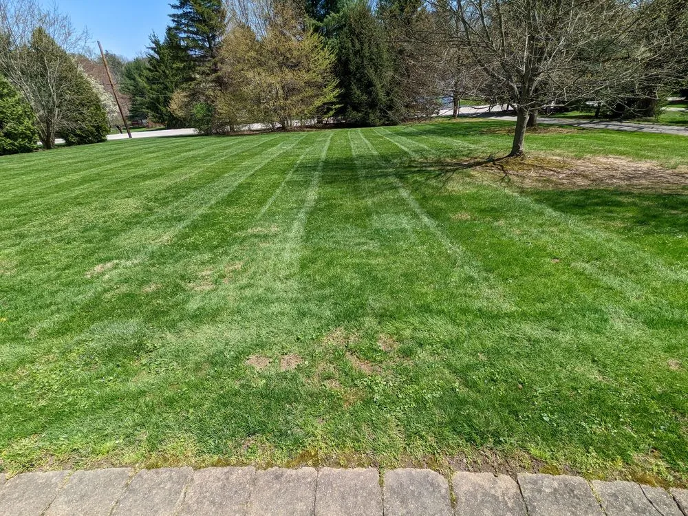 Local lawn care service in Cuyahoga Falls, OH by Duhon's Fresh Cut Mowing Services