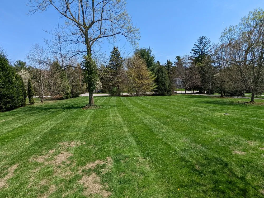 Top-rated yard maintenance in Cuyahoga Falls, OH - Duhon's Fresh Cut Mowing Services
