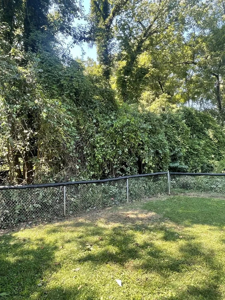 Custom lawn mowing service for beautiful yards across Charlotte, NC - Dukes & Son’s Services