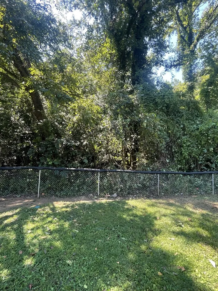 Local landscape installation in Charlotte, NC - Dukes & Son’s Services