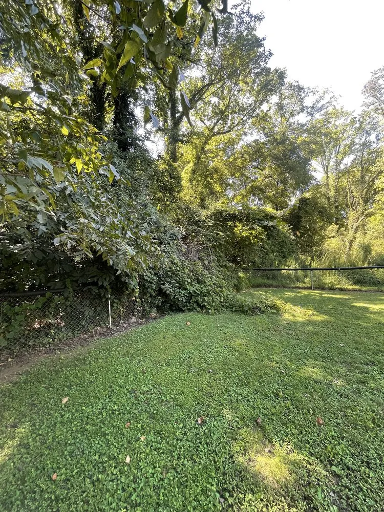 Reliable yard maintenance with custom design in Charlotte, NC by Dukes & Son’s Services