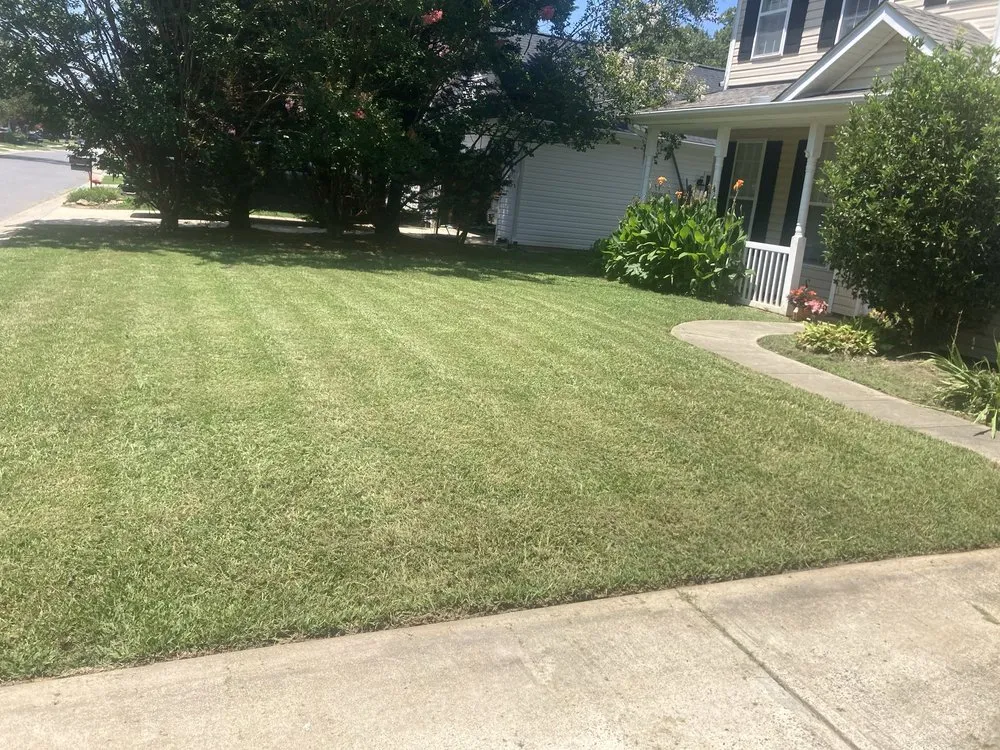 Professional residential landscaping experts serving Charlotte, NC - Dukes & Son’s Services