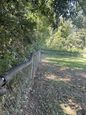 Dukes & Son’s Services Logo