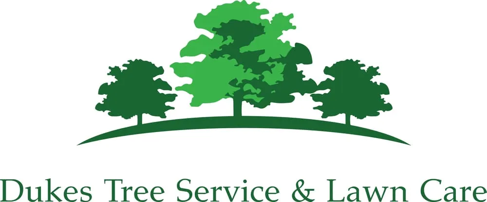 Custom outdoor landscaping in Amherst, MA - Duke's